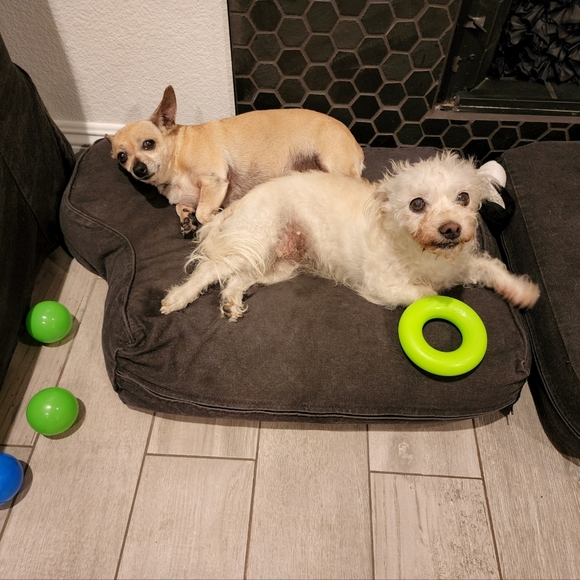 Meet your Posher, Mayra - Picture 2 of 10